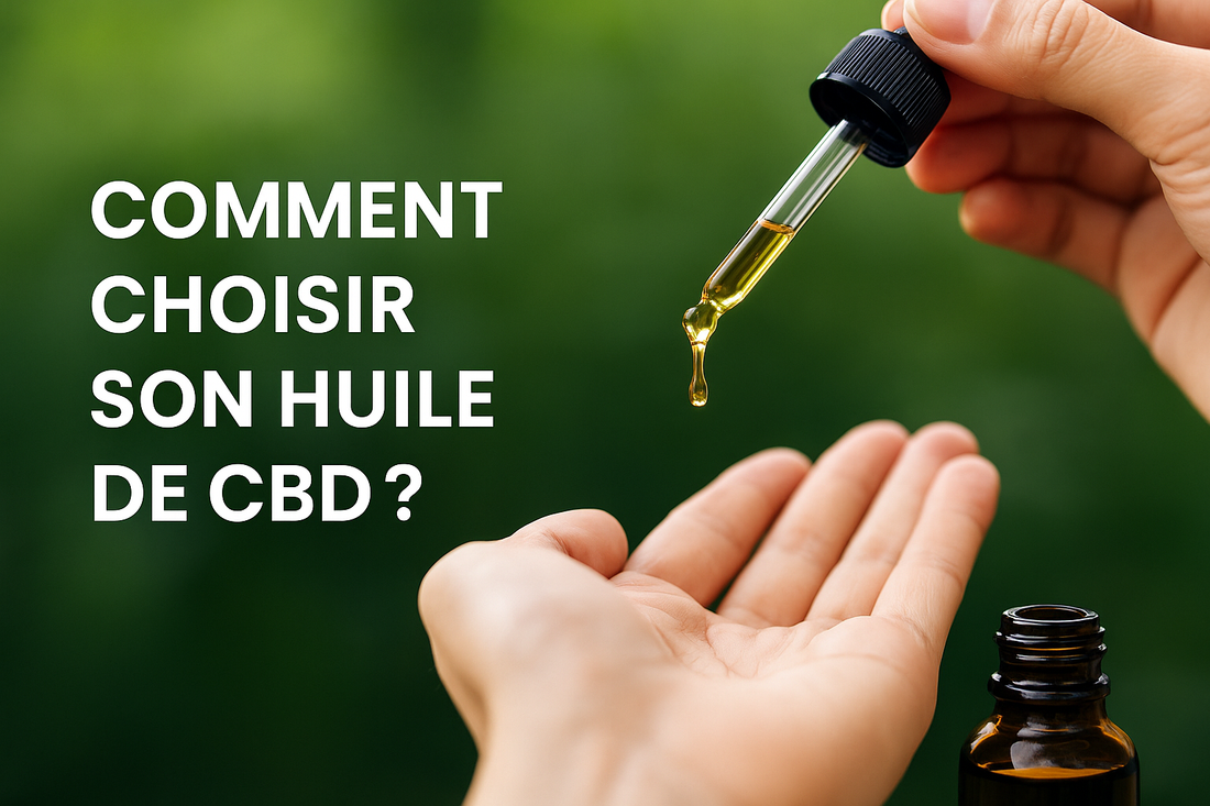 Comment choisir son huile de CBD ? Le guide complet 2025