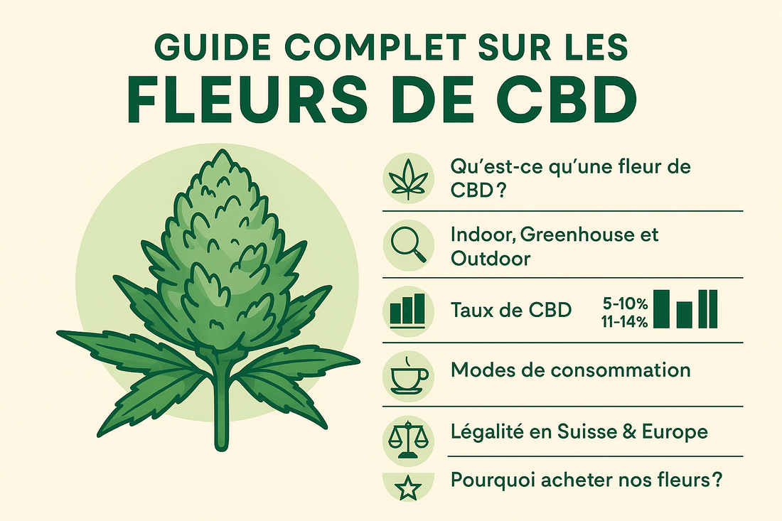 Guide complet sur les fleurs de CBD | Tout savoir en 2025