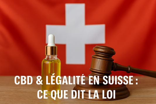 CBD légalité en Suisse : ce que dit la loi