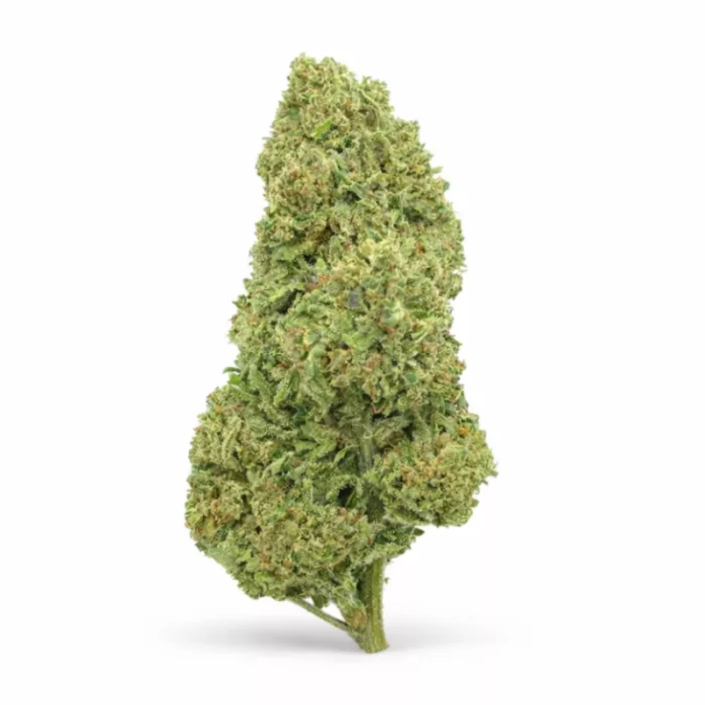 Double Gum - Fleurs de CBD - La Salade | 15g