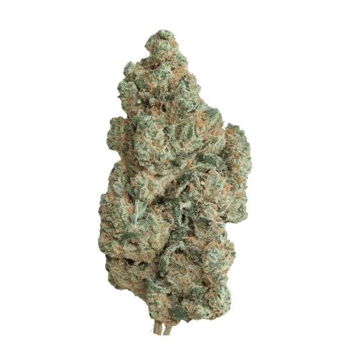 Amnesia Hydro - Fleurs de CBD - La Salade | 3-8g