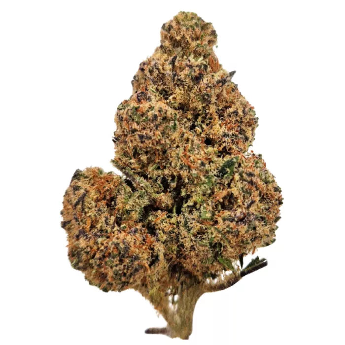 Animal Cookies - Fleurs de CBD - La Salade | 3-8g