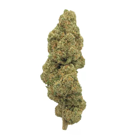 Gelato - Fleurs de CBD - La Salade | 8g