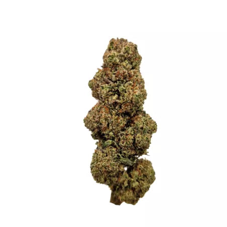 Glitter Bomb - Fleurs de CBD - La Salade | 3-8g